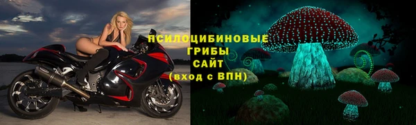 твердый Козловка