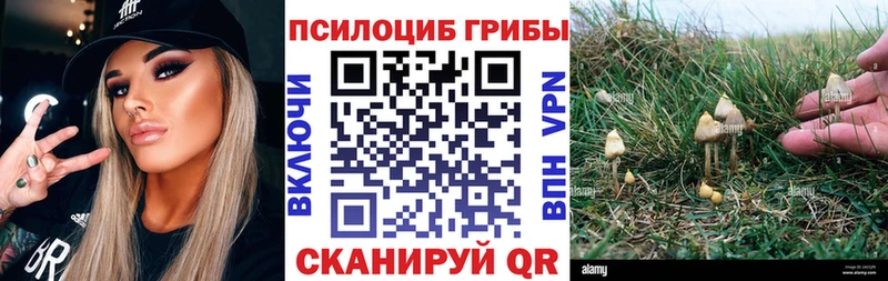 Купить закладки  Елабуга  Галлюциногенные грибы Cubensis 